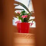 Chalet Pod Jemiola Zakopane