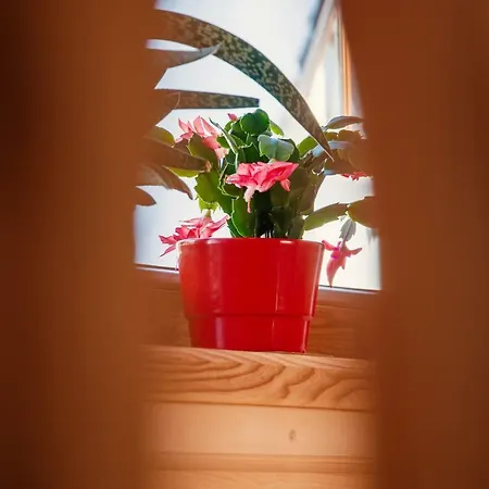 Chalet Pod Jemiola Zakopane