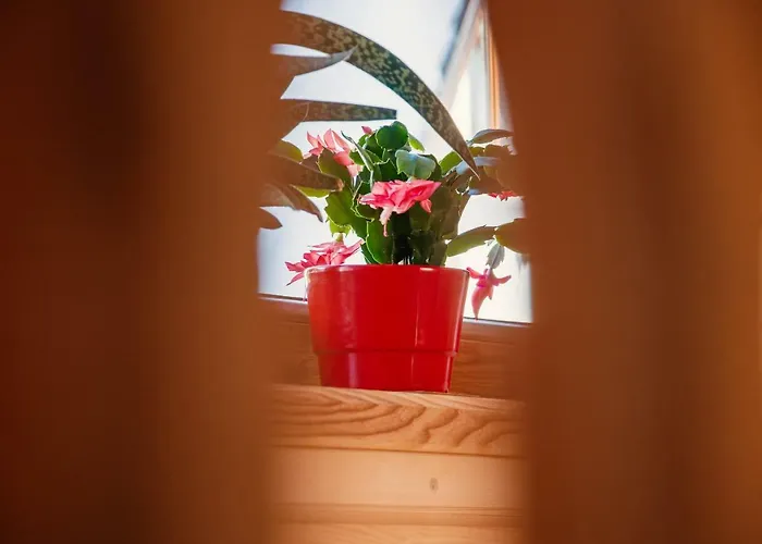 בקתה Pod Jemiola זקופאנה